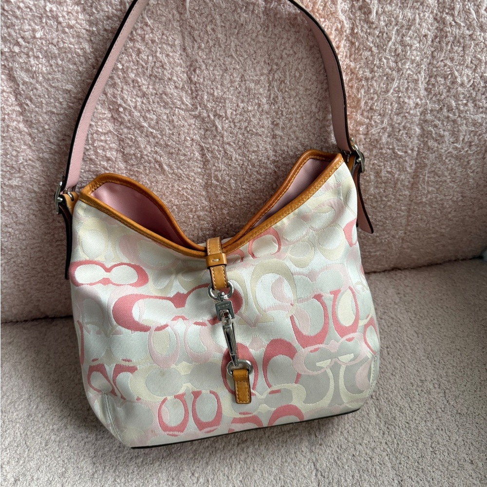 Y2K coach bag